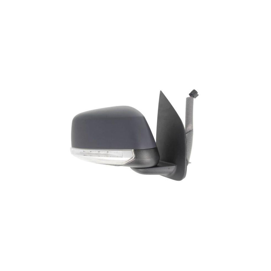 Blic 5402-16-2001928P Wing Mirror