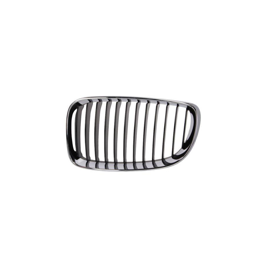 Blic 6502-07-0085991Pp Radiator Grille For BMW 1 Series