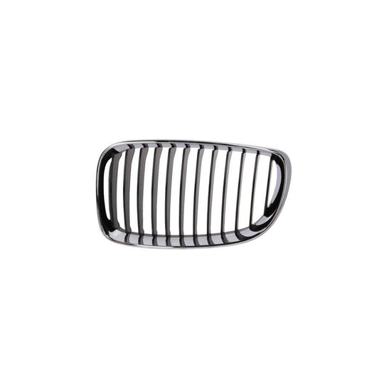 Blic 6502-07-0085991Pp Radiator Grille For BMW 1 Series