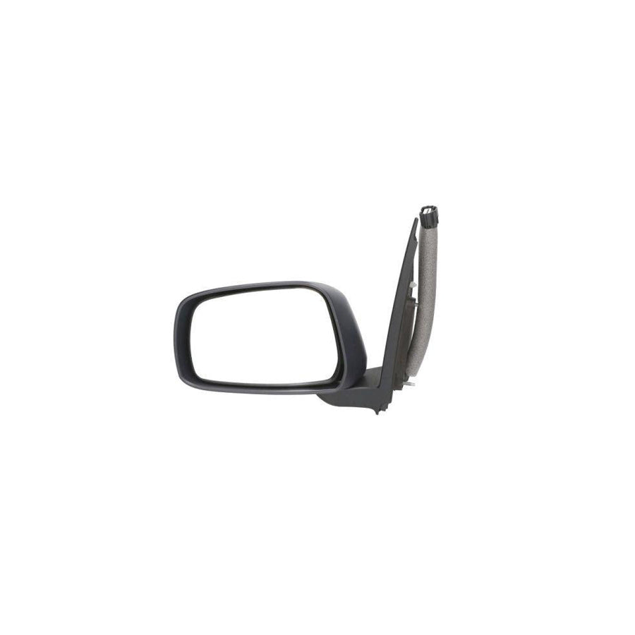 Blic 5402-16-2001925P Wing Mirror