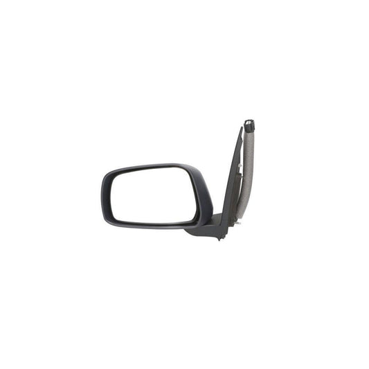 Blic 5402-16-2001925P Wing Mirror
