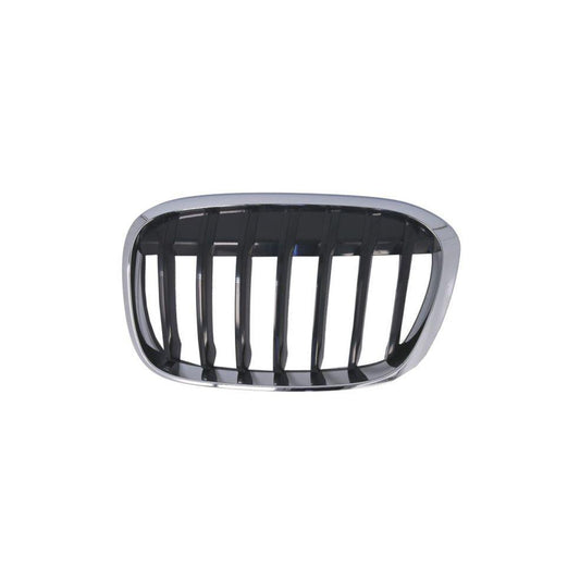 Blic 6502-07-0082993P Radiator Grille For BMW X1 (F48)