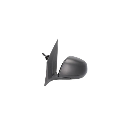 Blic 5402-16-2002897P Wing Mirror