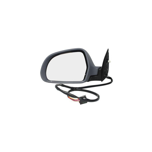 Blic 5402-04-1121564P Wing Mirror For Skoda Octavia