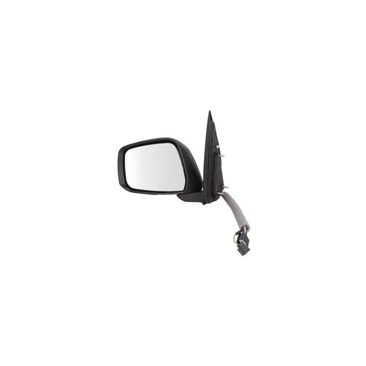 Blic 5402-16-2001931P Wing Mirror