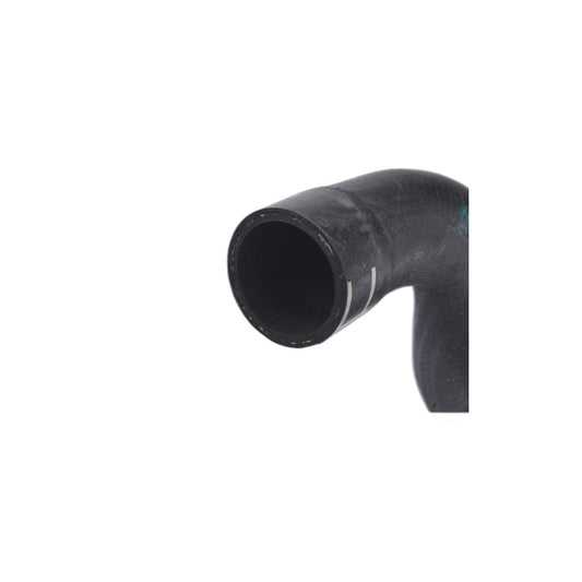 Genuine BMW 11537649300 F21 F20 F32 Feed Line (Inc. M235i, M135i & 435iX) | ML Performance UK Car Parts