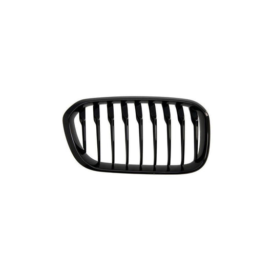 Blic 6502-07-0086998P Radiator Grille For BMW 1 Series