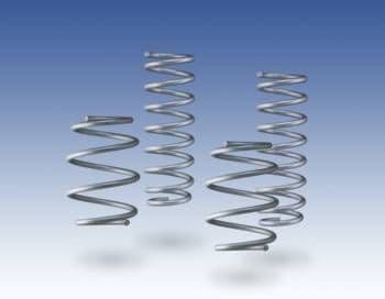 AC Schnitzer 313070770 Suspension Springs