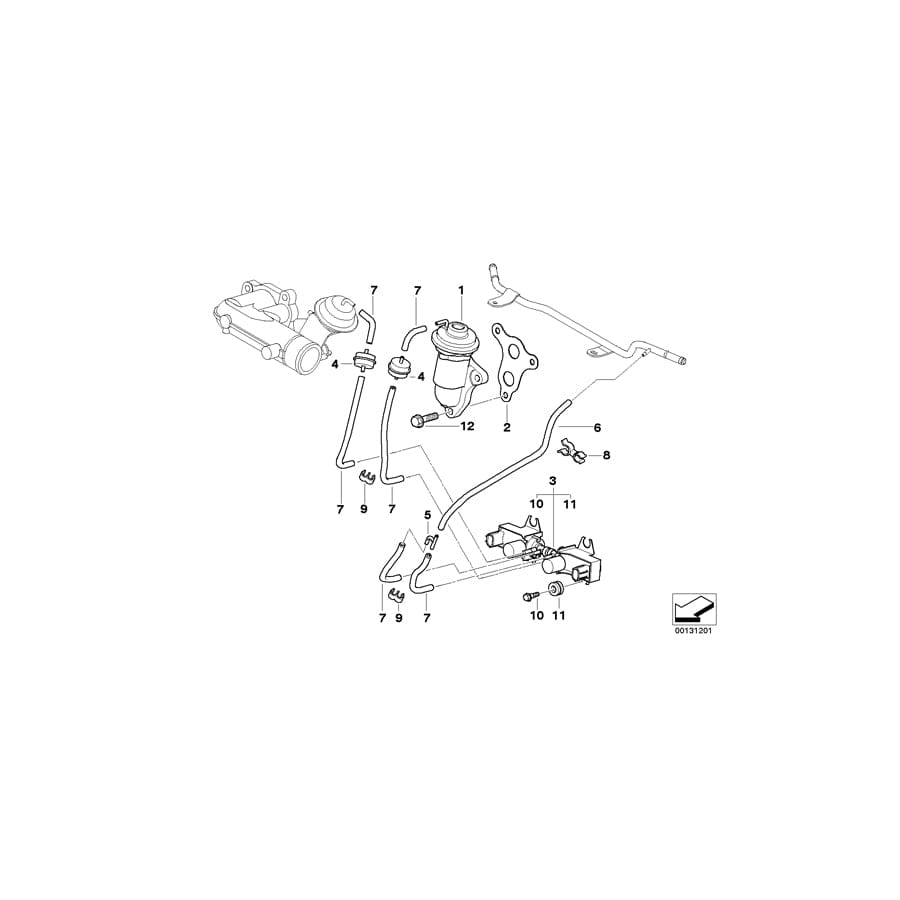 Genuine BMW 11717791095 R50 Gasket (Inc. One D) | ML Performance UK Car Parts