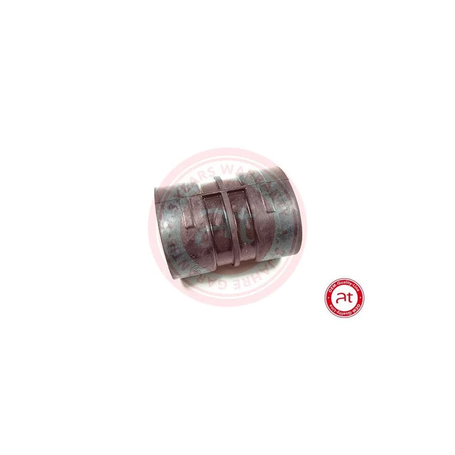 At Autoteile Germany at20676 Charger Intake Hose