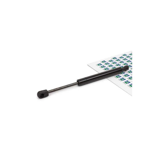 Abakus 10100750 Bonnet Strut | ML Performance UK