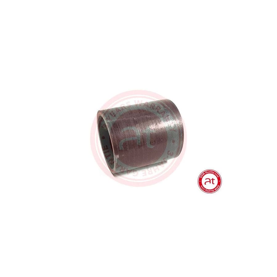 At Autoteile Germany at20731 Charger Intake Hose For Ford Focus