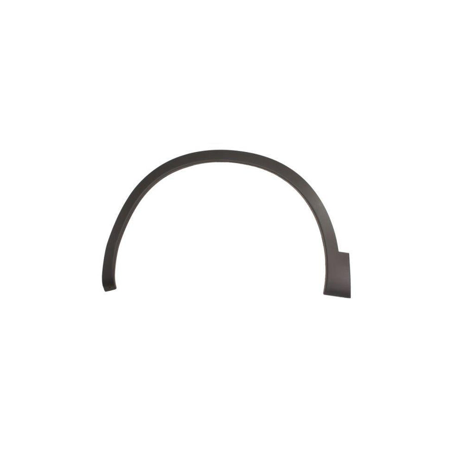 Blic 5703-08-1617375Q Trim / Protective Strip, Mudguard For Nissan Qashqai / Qashqai+2 I (J10, Nj10)