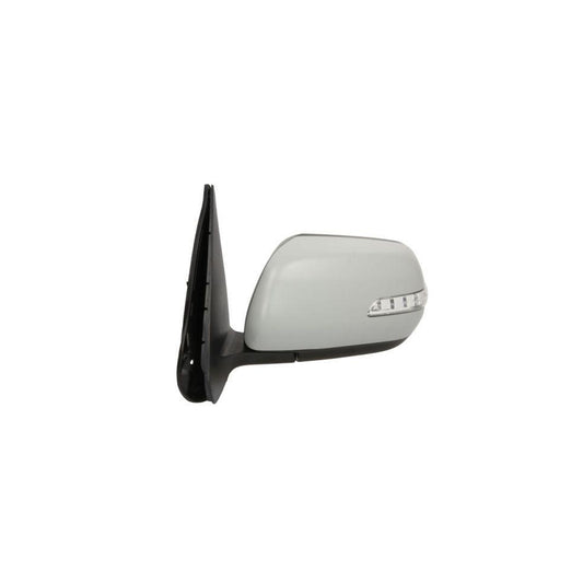 Blic 5402-18-2002413P Wing Mirror For Suzuki Grand Vitara II Off-Road (Jt, Te, Td)