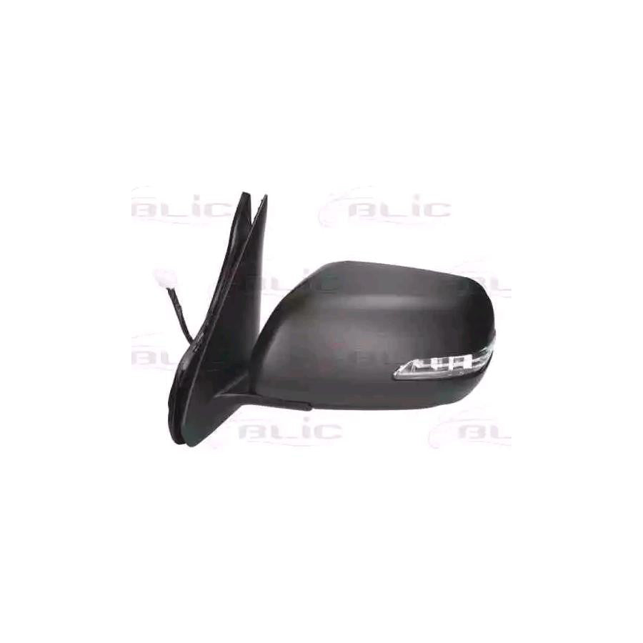 Blic 5402-18-2002407P Wing Mirror