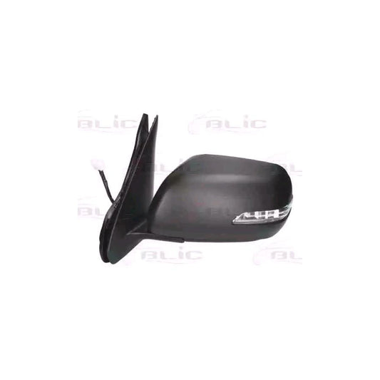 Blic 5402-18-2002407P Wing Mirror