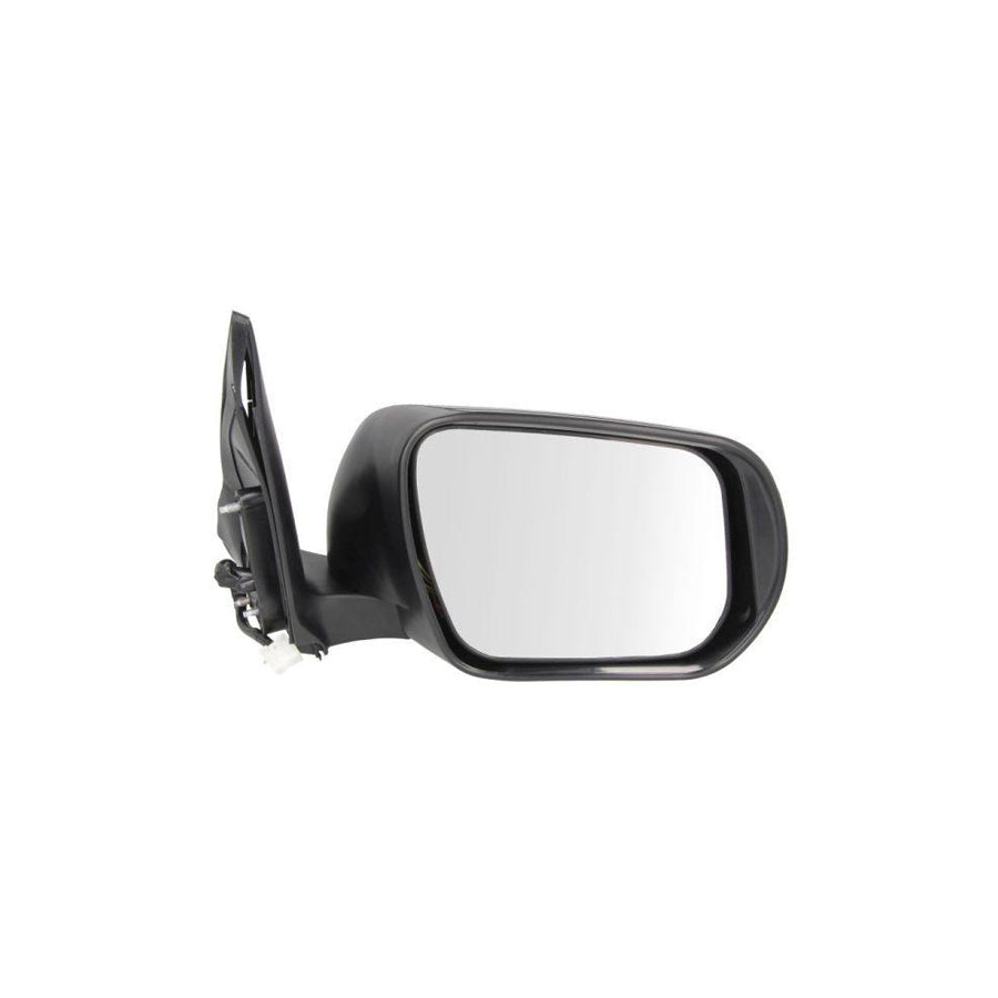 Blic 5402-18-2002406P Wing Mirror