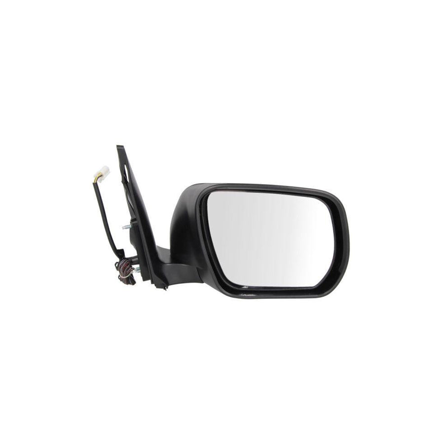 Blic 5402-18-2002404P Wing Mirror