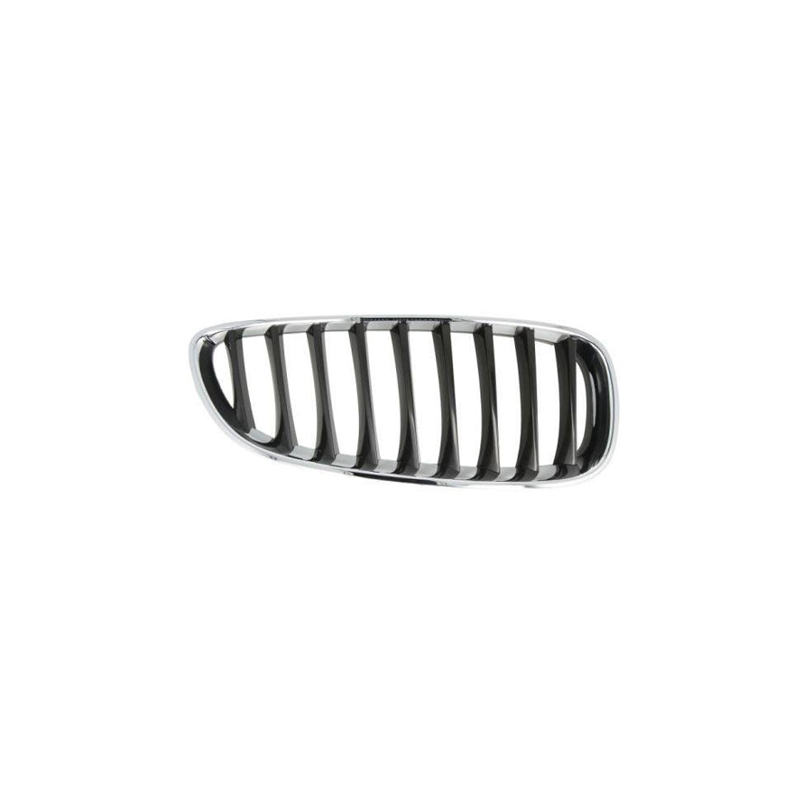 Blic 6502-07-0089996P Radiator Grille For BMW Z4 Roadster (E89)