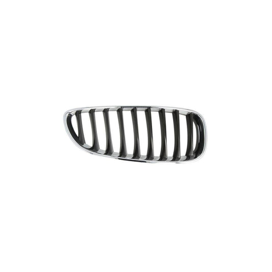 Blic 6502-07-0089996P Radiator Grille For BMW Z4 Roadster (E89)