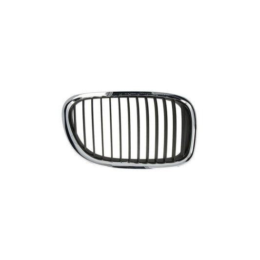 Blic 6502-07-00939911P Radiator Grille For BMW X3 (F25)