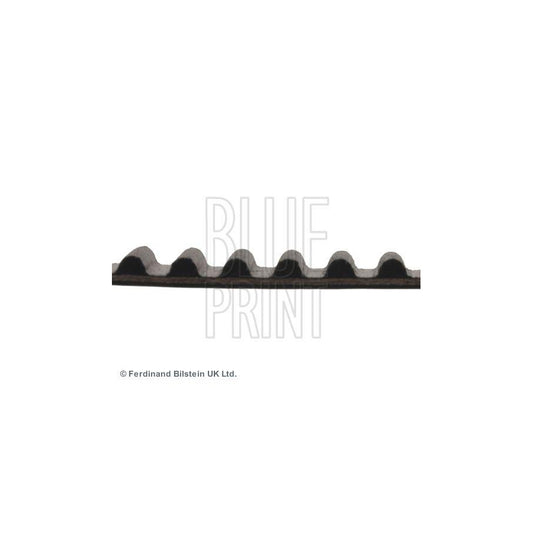 Blue Print ADC47514 Timing Belt
