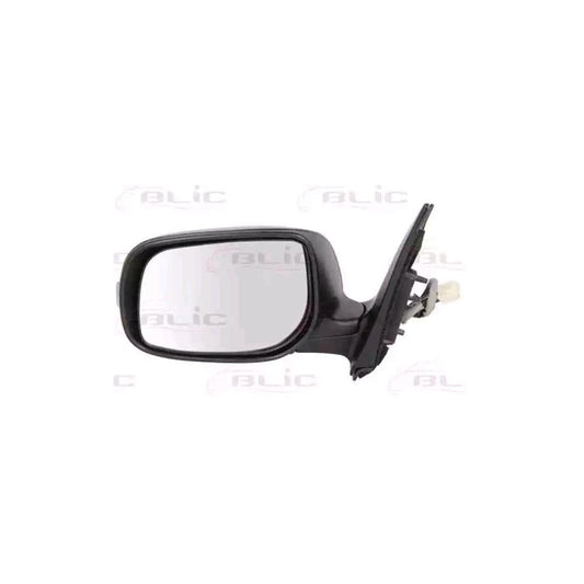 Blic 5402-19-2002465P Wing Mirror For Toyota Corolla X Saloon (E150)