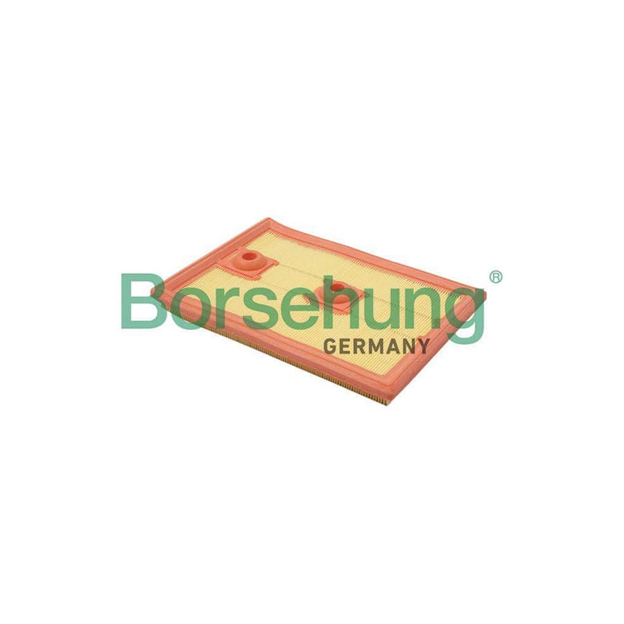 Borsehung B18013 Air Filter