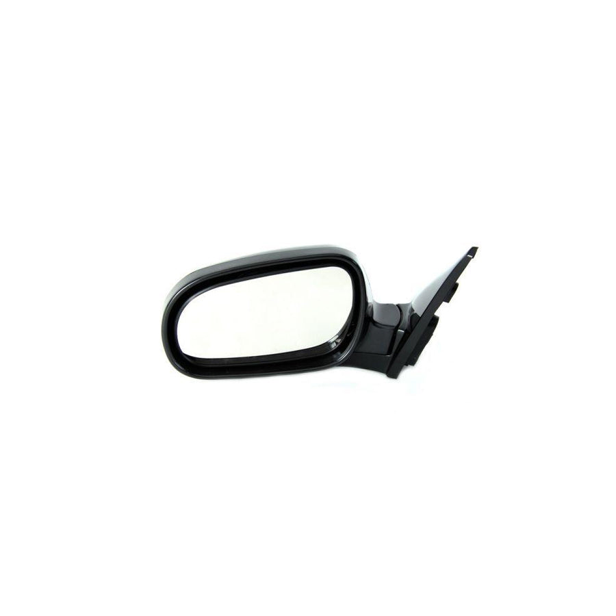 Blic 5402-04-1121620P Wing Mirror