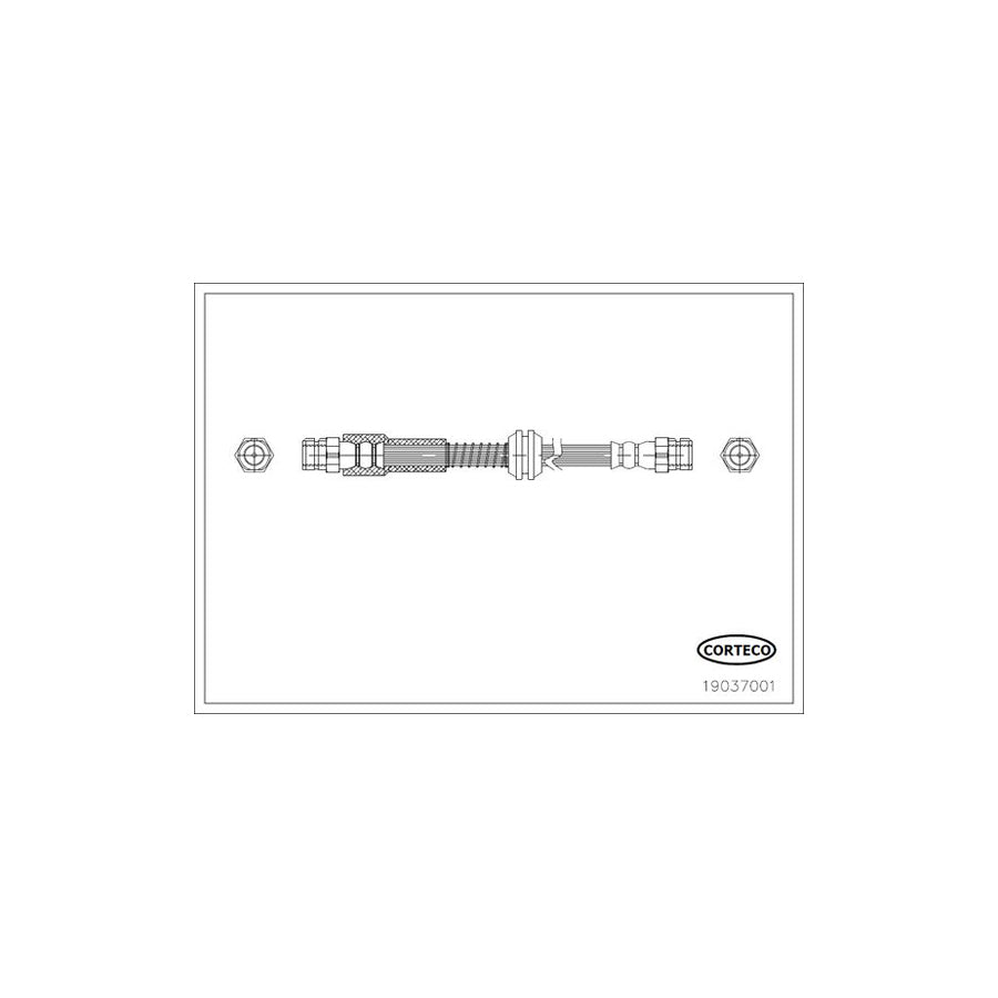 Corteco 19037001 Brake Hose | ML Performance UK