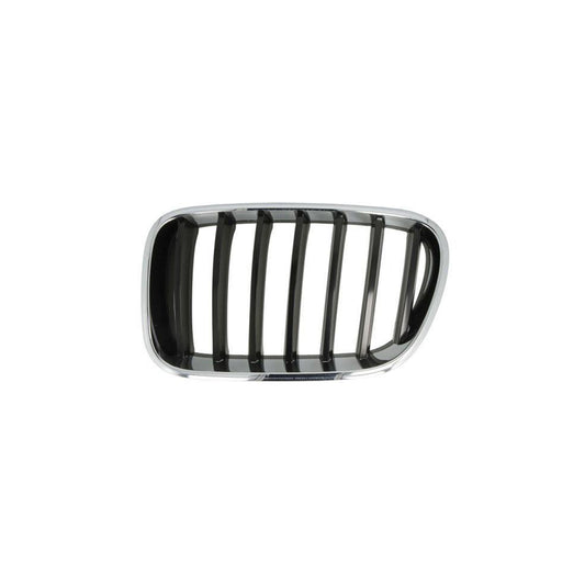 Blic 6502-07-00939970P Radiator Grille For BMW X3 (F25)