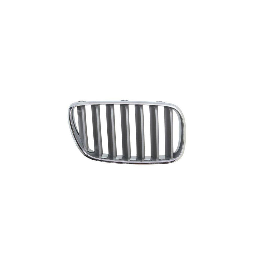 Blic 6502-07-00939960P Radiator Grille For BMW X3 (E83)