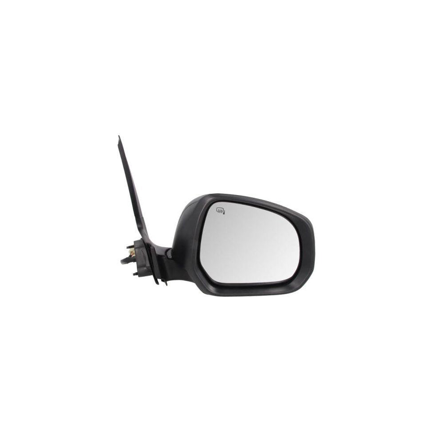 Blic 5402-04-2001970P Wing Mirror