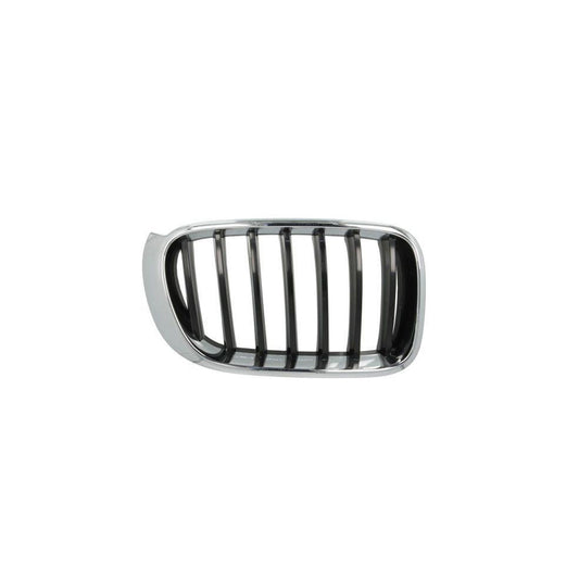 Blic 6502-07-00939944P Radiator Grille