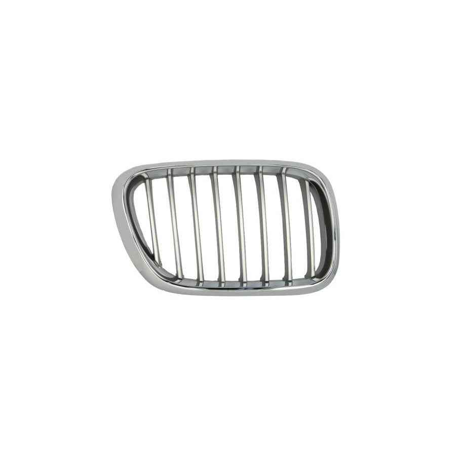 Blic 6502-07-0095992P Radiator Grille For BMW X5 (E53)