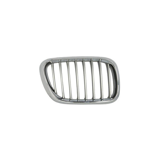 Blic 6502-07-0095992P Radiator Grille For BMW X5 (E53)