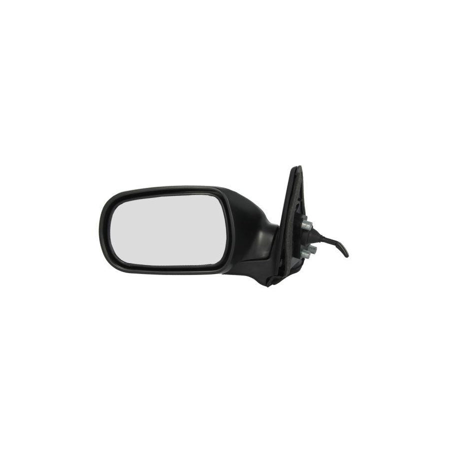 Blic 5402-04-1121852 Wing Mirror For Citroen C5