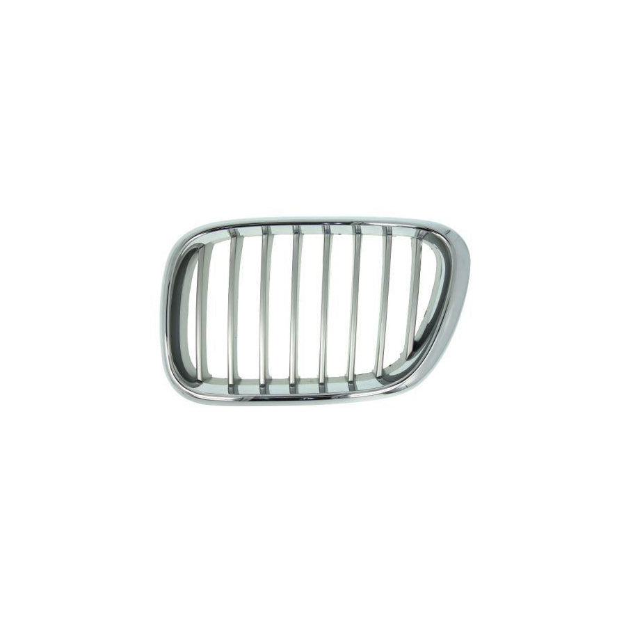 Blic 6502-07-0095991P Radiator Grille For BMW X5 (E53)