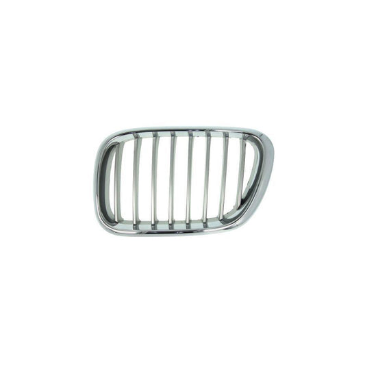 Blic 6502-07-0095991P Radiator Grille For BMW X5 (E53)