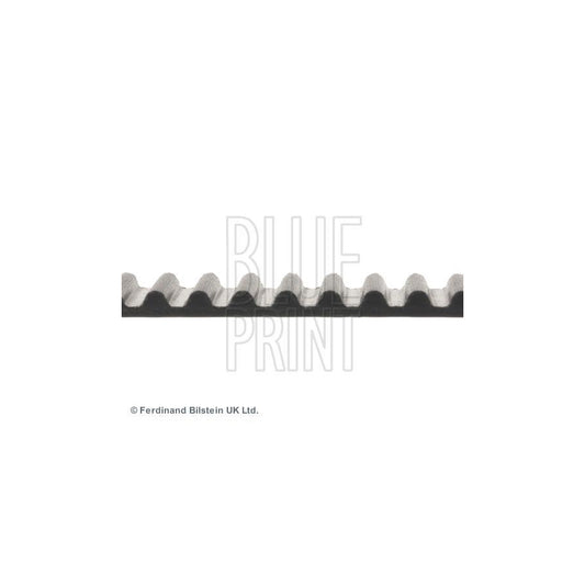 Blue Print ADC47521 Timing Belt