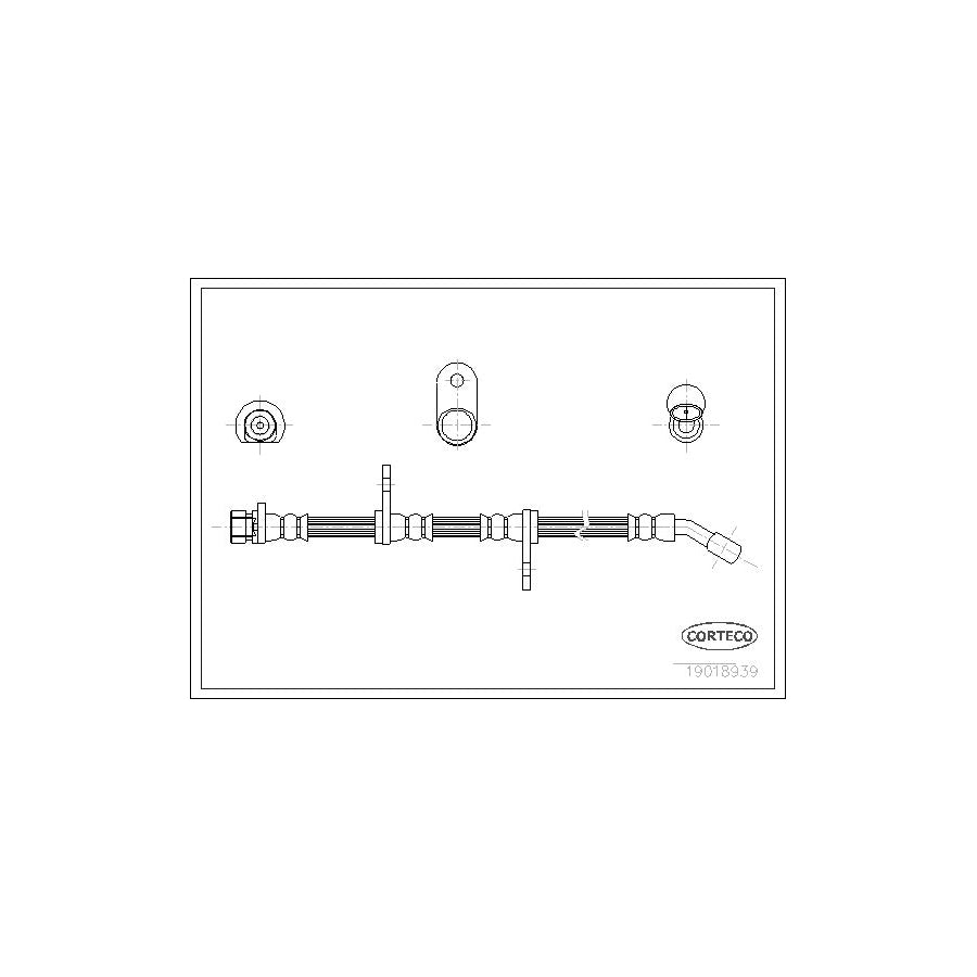 Corteco 19018939 Brake Hose | ML Performance UK