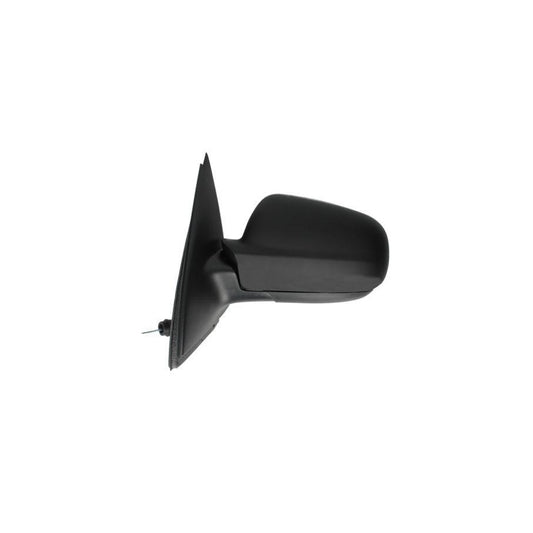 Blic 5402-04-1121825 Wing Mirror For BMW 5 Series
