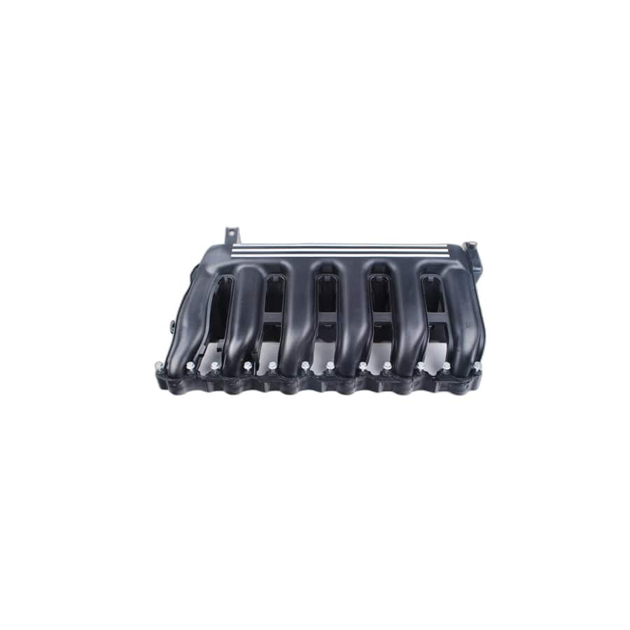 Genuine BMW 11617792019 E39 E53 E46 Intake Manifold (Inc. 330d, 530d