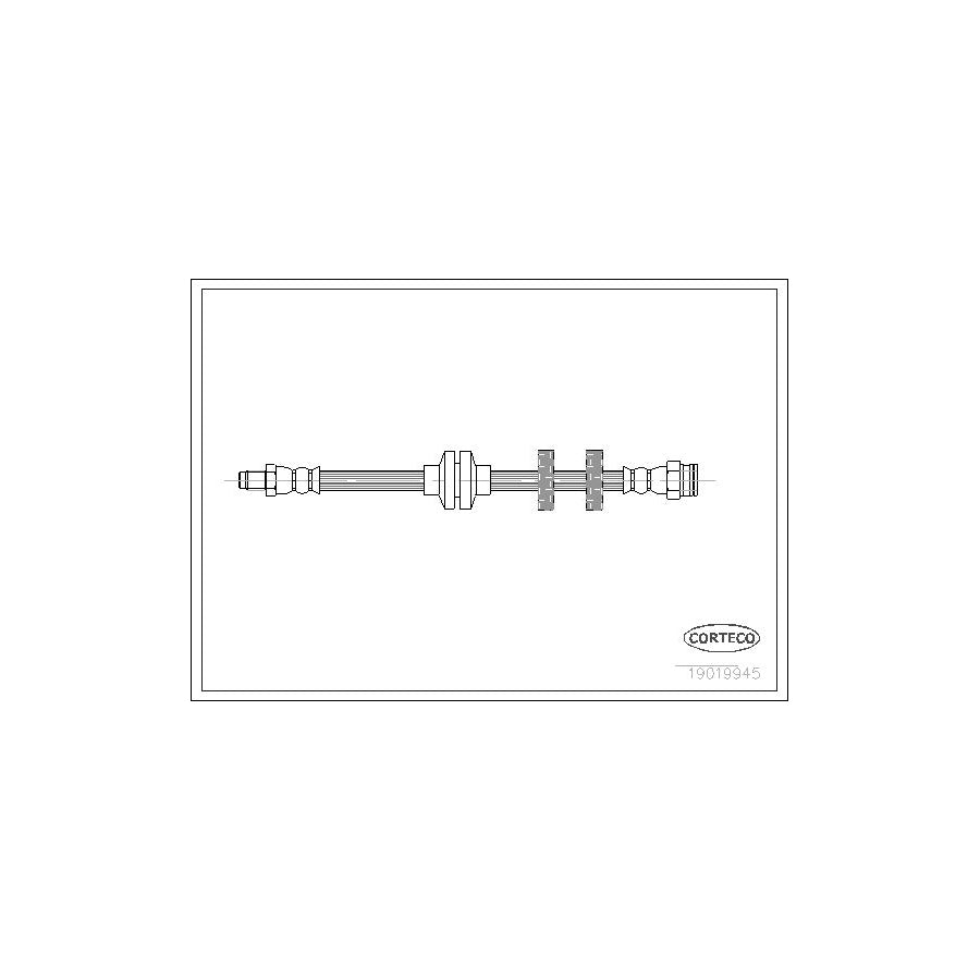 Corteco 19019945 Brake Hose | ML Performance UK