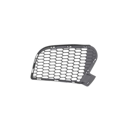 Blic 6502-07-0096914P Bumper Grill