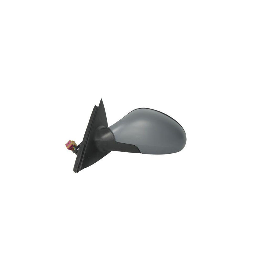 Blic 5402-04-1121890P Wing Mirror