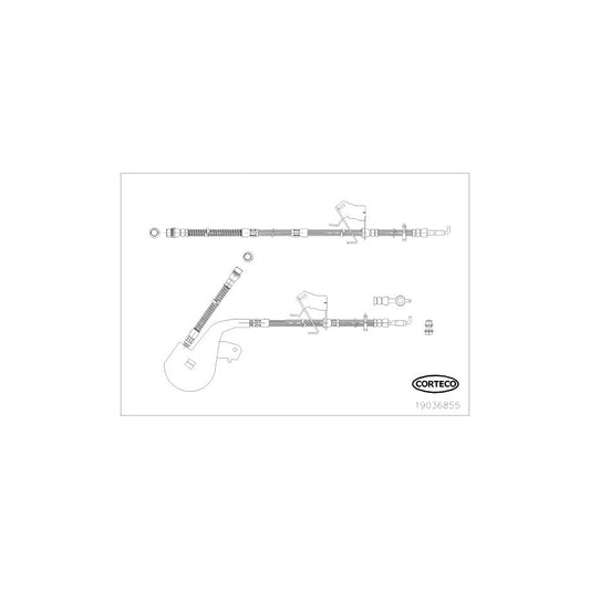 Corteco 19036855 Brake Hose | ML Performance UK