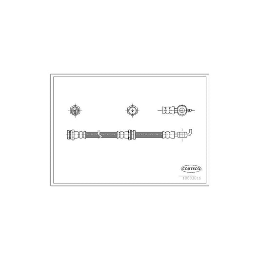 Corteco 19033016 Brake Hose | ML Performance UK