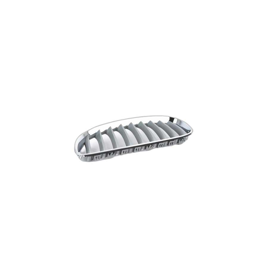Genuine BMW 51137181547 E89 Grille Left ALU MATT (Inc. Z4) | ML Performance UK Car Parts