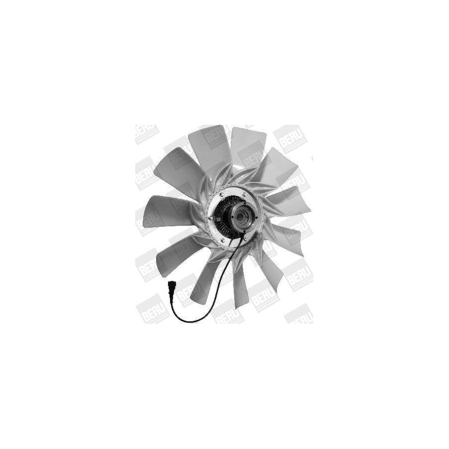 Beru LKK036 Fan, Radiator